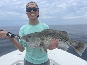 Charleston gag grouper