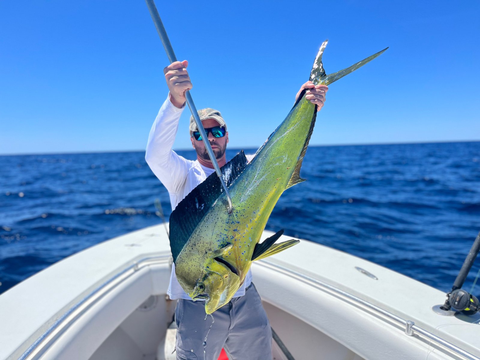 Mahi mahi dripping with color, freshly caught on a 12-hour deep sea adventure