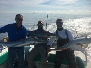 Wahoo are caught during our 10 hr to 12hr gulf stream fishing trips.