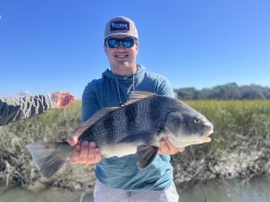 Black drum are caught on our 4hr inshore fishing trips