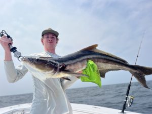 South Carolina Cobia