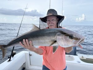 Amberjack live bait fishing